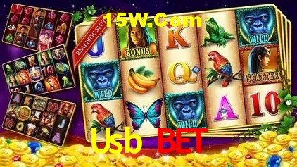 Sistemas de Segurança Usb Bet