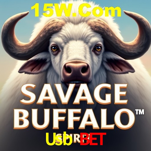 PIX Instantâneo Usb Bet